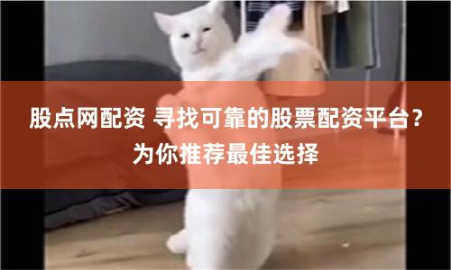 股点网配资 寻找可靠的股票配资平台？为你推荐最佳选择