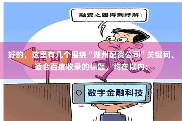 好的，这里有几个围绕“湖州配资公司”关键词、适合百度收录的标题，均在以内：