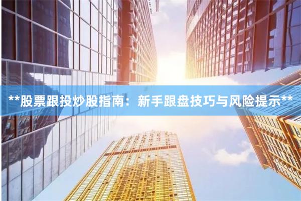 **股票跟投炒股指南：新手跟盘技巧与风险提示**
