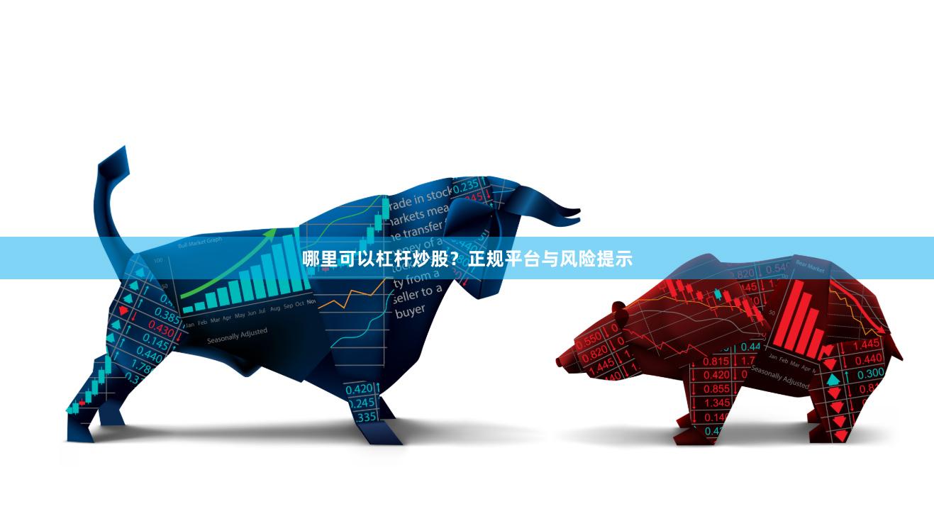 哪里可以杠杆炒股？正规平台与风险提示
